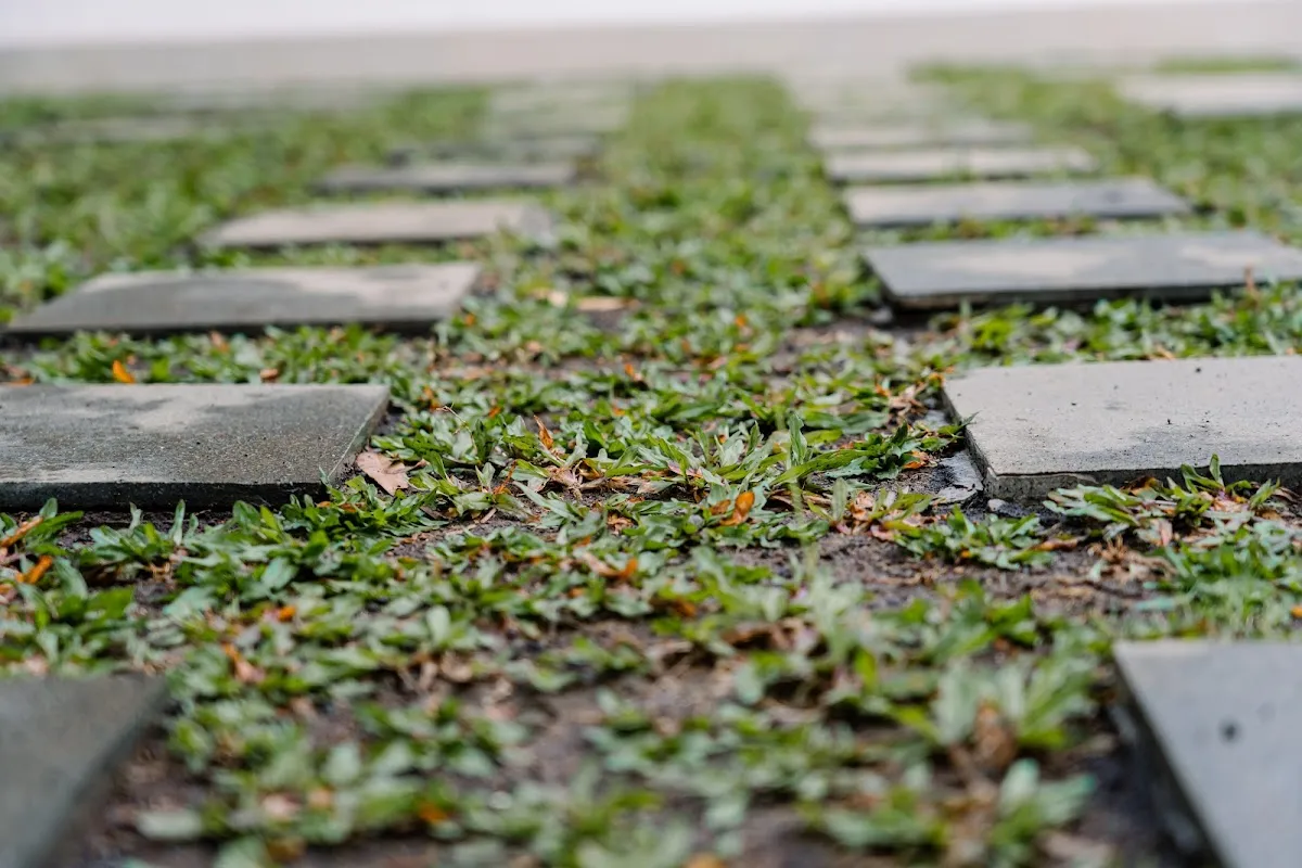 D'Teba - частный бассейн